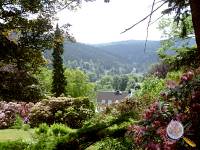 Rhododendronpark|Foto:(c)TD-Software